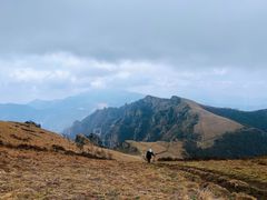 -灵山