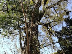 -普陀山风景名胜区-法雨禅寺
