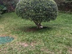 -人民公园(罗湖区)