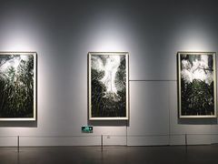-宁波美术馆