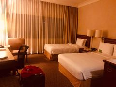 -新加坡雅庭假日酒店