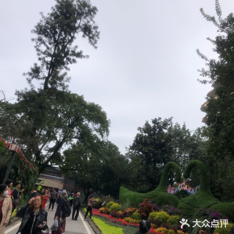 陪儿子上去也不敢拍照，腿软厉害！