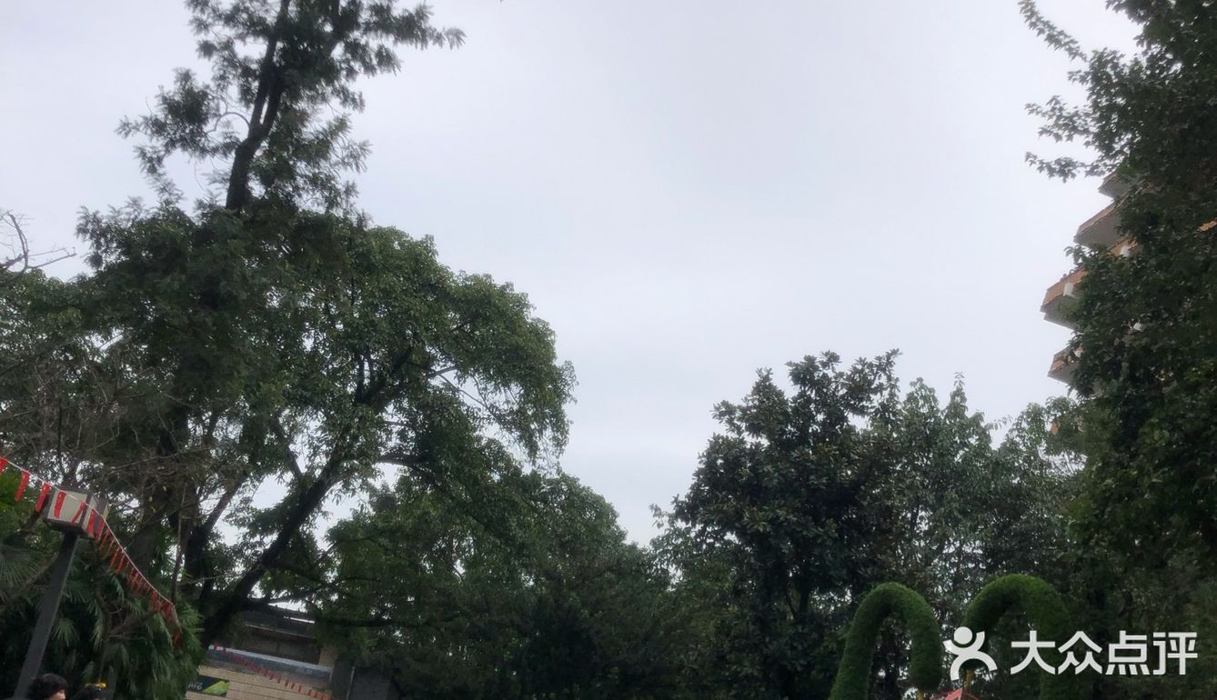 陪儿子上去也不敢拍照，腿软厉害！