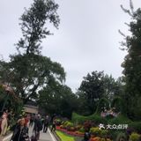 陪儿子上去也不敢拍照，腿软厉害！