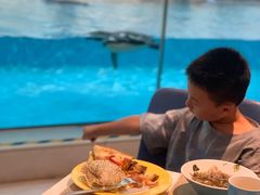 -帝企鹅自助餐厅•儿童岛•真企鹅(长隆企鹅酒店)