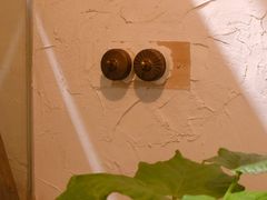 -MAISON门前杂货店