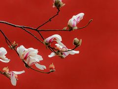 -东华门大街小区