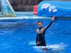 -海合安成都极地海洋公园