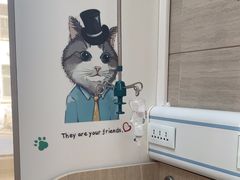 -北京观赏动物医院·24小时大型综合·猫专科·异宠专科