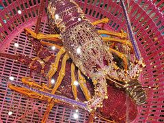 -新海渔港·胶东海鲜家常菜·家宴(奥体中心店)