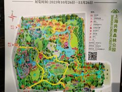 -上海共青森林公园