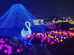 -菊园百果园