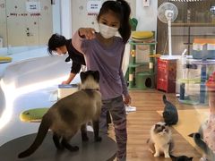 -COLOR PETS 撸猫馆·购猫·猫咖(长风大悦城店)