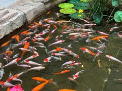 -聚缘堂·海鲜私房菜(松岭路店)