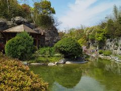 -上海吴淞炮台湾国家湿地公园