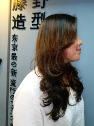 点击看大图 -藤野造型