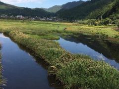 -腾冲北海湿地