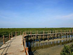 -北海金海湾红树林生态旅游区