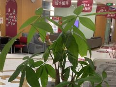 -雅悦齿科(顾村公园店)