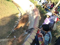 -石家庄市动物园