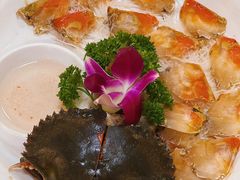 -官塘陈记鱼生·潮汕砂锅粥·牛肉火锅(潮枫路总店)