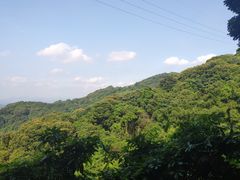 -广州市帽峰山景区