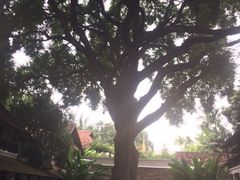 罗望乡村酒店-罗望子村酒店