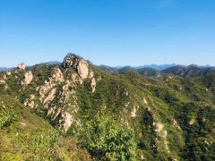 -大岭沟猕猴桃谷风景区
