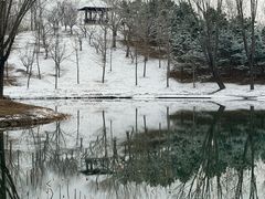 -东郊湿地公园