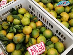 -西郊国际农产品交易中心