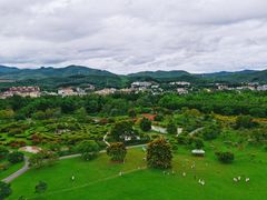 -中国科学院西双版纳热带植物园