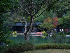 -云溪植物园