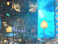 -桂满陇·海市蜃楼·黑金(国金店)