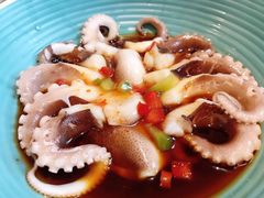 芥末鲜八爪-海食焗(新光天地店)