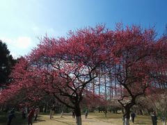 -杭州植物园