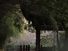 -棠湖公园