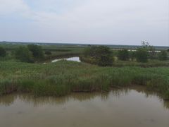 -盐城丹顶鹤湿地生态旅游区