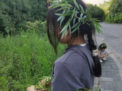 -石台牯牛降景区