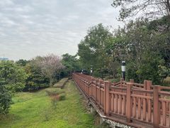 -立新湖公园