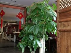 -碧露轩·大益茶体验馆(镇江路店)