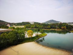 -上海佘山世茂艾美酒店