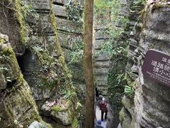 -梭布垭石林景区