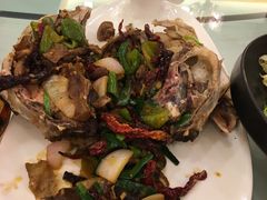 -塔城美食(塔城办事处店)