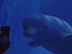 -多彩贵州城极地海洋世界