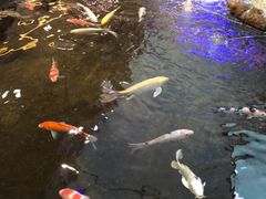 -鸿通城购物中心