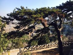 -北京西山国家森林公园