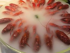 经典冰镇龙虾-红盔甲·小龙虾(天钥桥店)