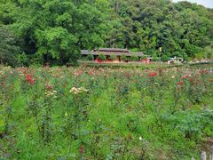 -韶关经律论国际酒店温泉