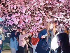 -武汉大学-樱园