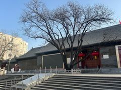 -文瀛公园